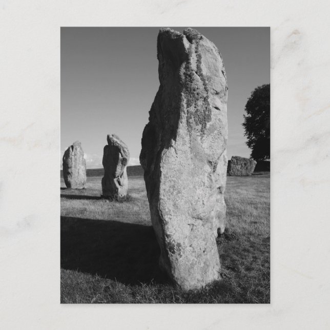 Avebury Stone Circle Postcard (Front)