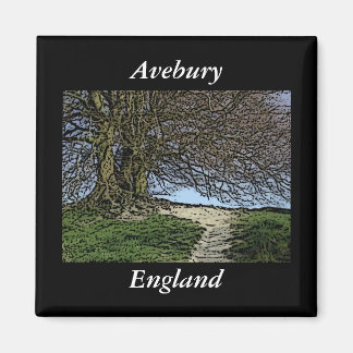 Avebury, Wiltshire, England. Tree and path. Magnet