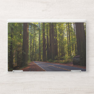 Avenue of Giant Redwood California HP Laptop Skin