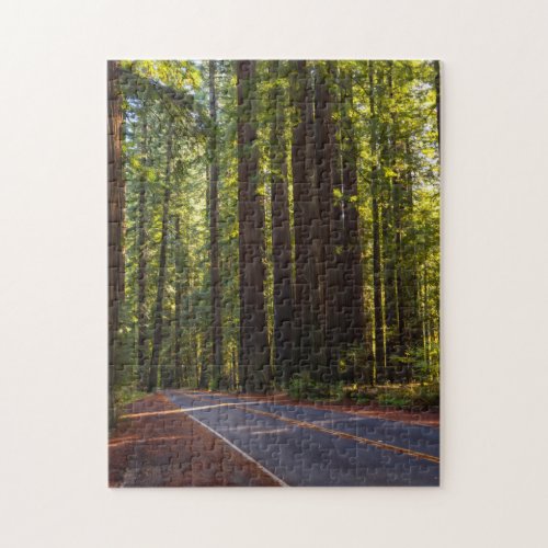 Avenue of Giant Redwood California Jigsaw Puzzle