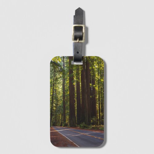 Avenue of Giant Redwood California Luggage Tag