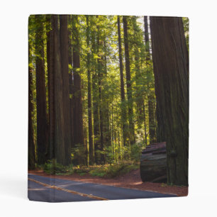 Avenue of Giant Redwood California Mini Binder