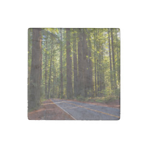 Avenue of Giant Redwood California Stone Magnet