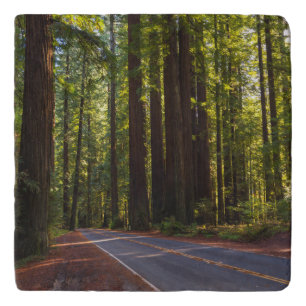 Avenue of Giant Redwood California Trivet