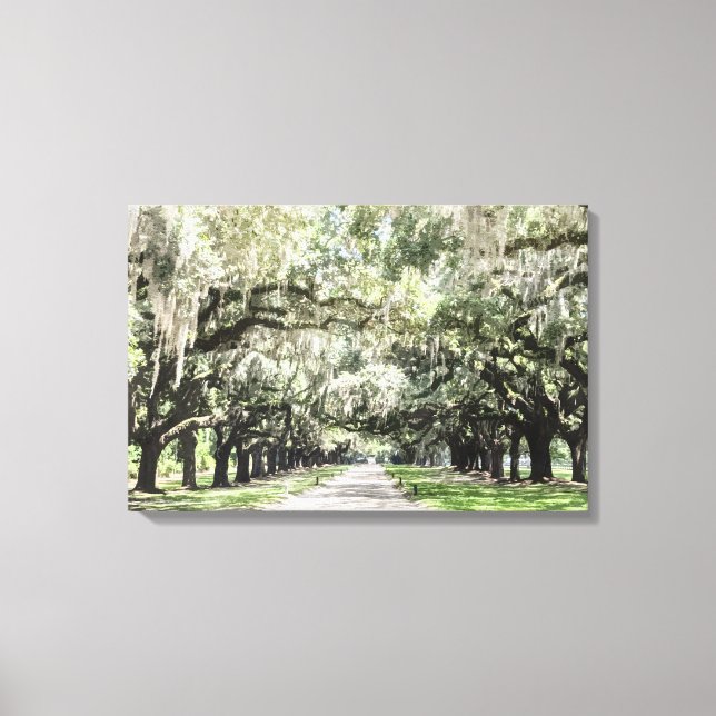 Avenue of Oaks, Boone Hall Plantation Watercolor Canvas Print (Front)