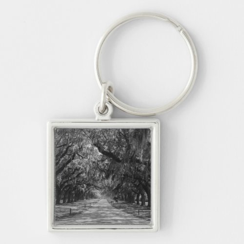 Avenue Of Oaks Grayscale Keychain