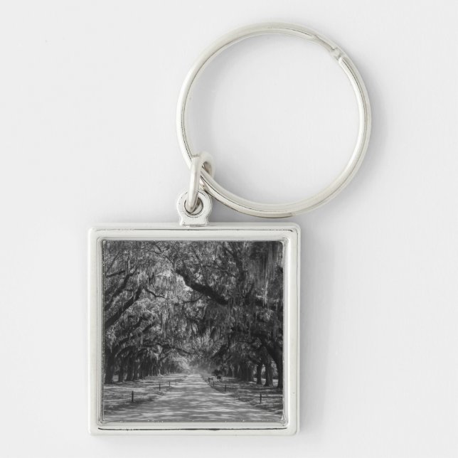 Avenue Of Oaks Grayscale Keychain (Front)