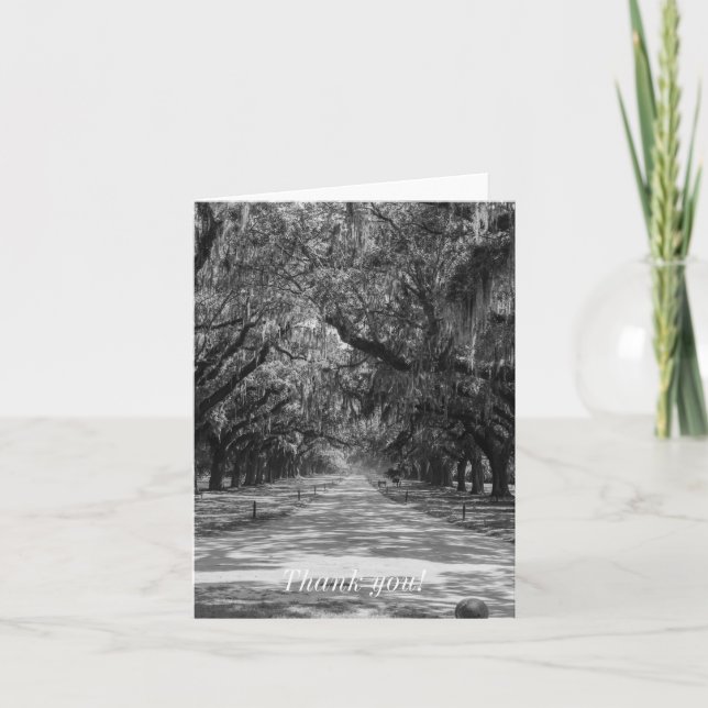 Avenue Of Oaks Grayscale Letterpress Thank You Card (Front)
