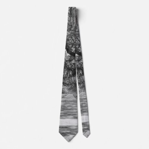 Avenue Of Oaks Grayscale Neck Tie