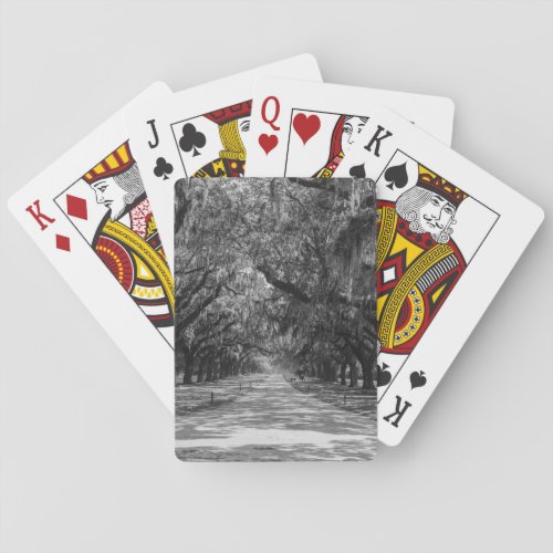 Avenue Of Oaks Grayscale Poker Cards