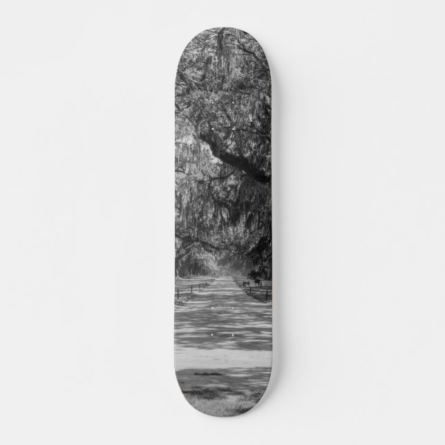 Avenue Of Oaks Grayscale Skateboard Deck (Front)