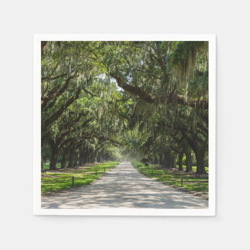 Avenue Of Oaks Napkins