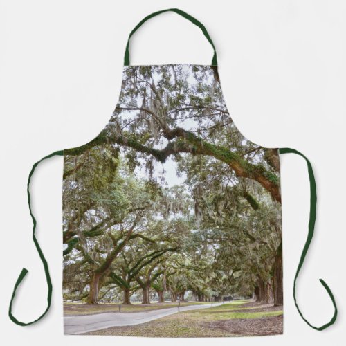 Avenue of Oaks South Carolina Apron