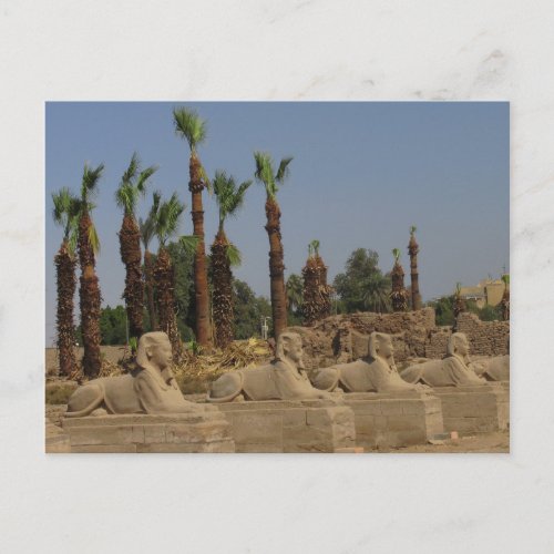 Avenue of Sphinxes _ Ancient Egypt Postcard