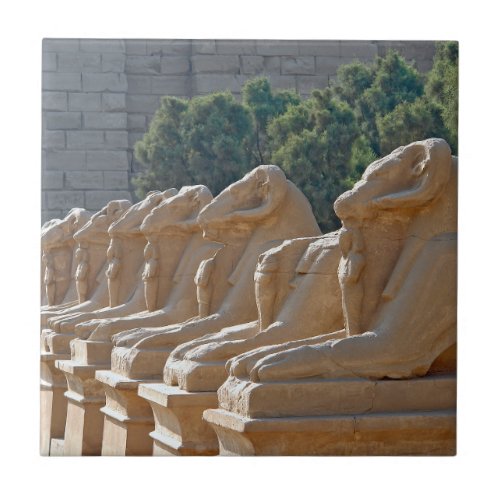 Avenue of Sphinxes in Karnak Temple _ Egypt Ceramic Tile
