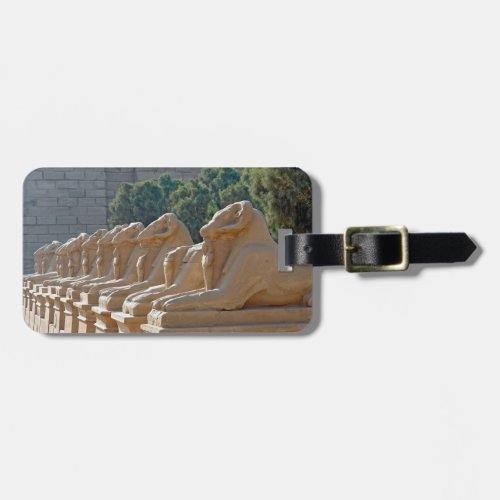 Avenue of Sphinxes in Karnak Temple _ Egypt Luggage Tag