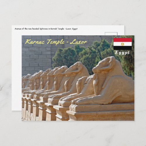 Avenue of Sphinxes in Karnak Temple _ Egypt Postcard