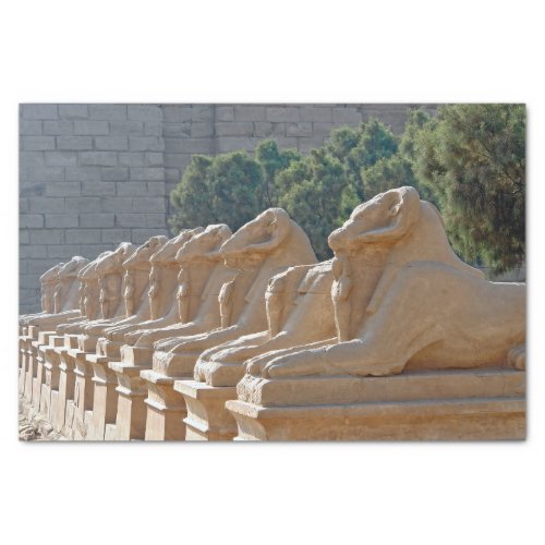 Avenue of Sphinxes in Karnak Temple _ Egypt Tissue Paper