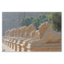 Avenue of Sphinxes in Karnak Temple - Egypt Tissue Paper