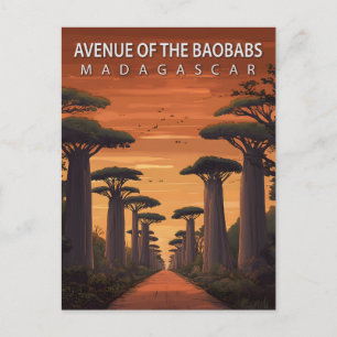 Avenue of the Baobabs Madagascar African Nature Postcard