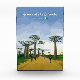 Avenue of the Baobabs, Madagascar - Landscape Acrylic Award