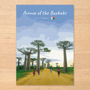 Avenue of the Baobabs, Madagascar - Landscape Acrylic Invitations