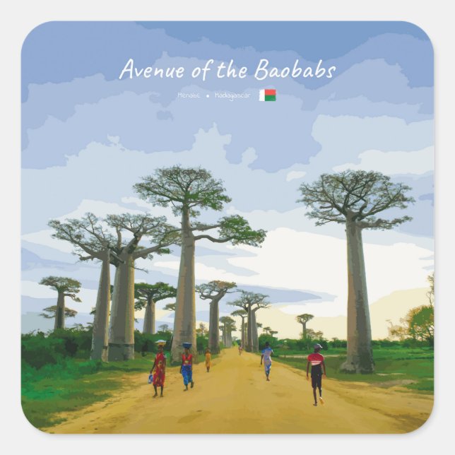 Avenue of the Baobabs, Madagascar - Landscape Square Sticker (Front)
