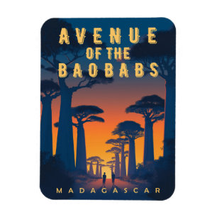 Avenue of the Baobabs Madagascar - Retro African Magnet