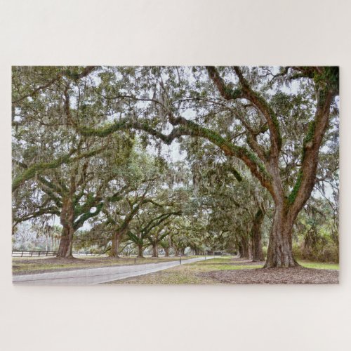 Avenue of the Oaks South Carolina Jigsaw Puzzle