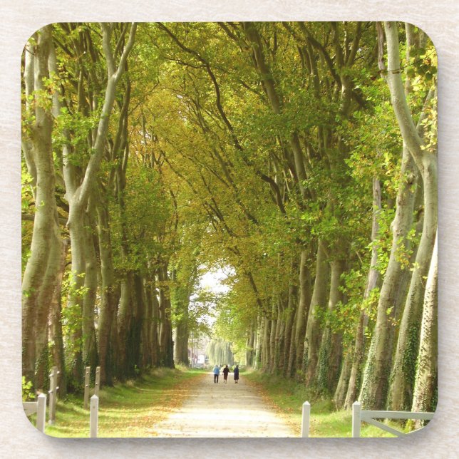 Avenue of Trees Hard Plastic Coasters (Front)