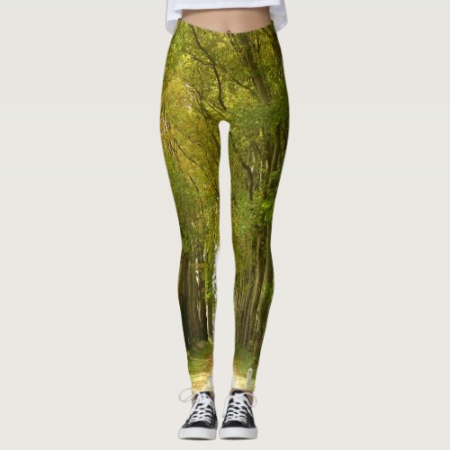 Avenue of Trees Leggings