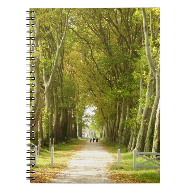 Avenue of Trees Photo Notebook (Front)