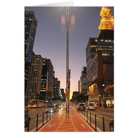 Avenue Paulista - São Paulo (Front)