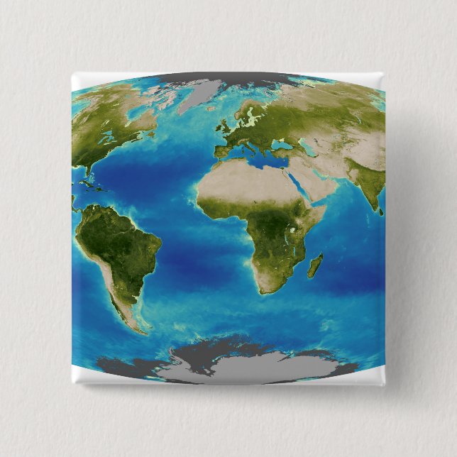 Average plant growth of the Earth Button (Front)