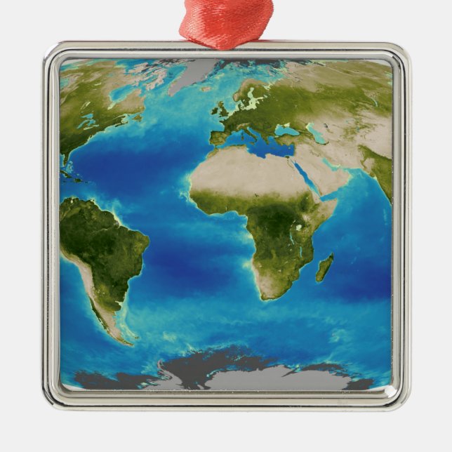 Average plant growth of the Earth Metal Ornament (Front)