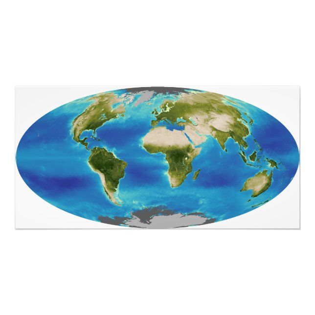 Average plant growth of the Earth Photo Print (Front)