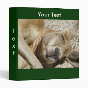 Avery Binder Template Sleeping Kangaroo Photo