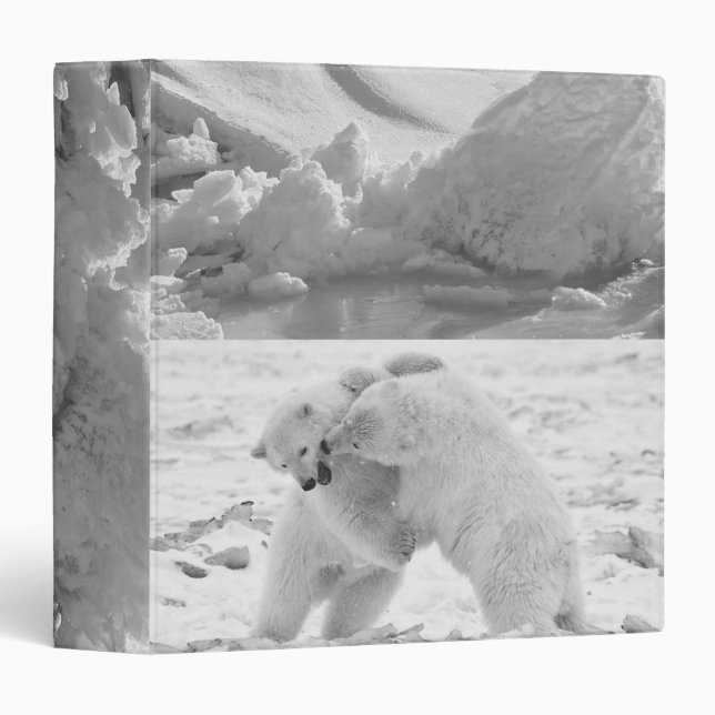 Avery Signature Binder Polar Bear (Front/Spine)