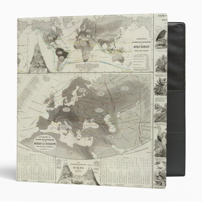 Aves, Birds 3 Ring Binder (Front/Inside)