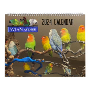 Avian Avenue 2024 Parrot Calendar