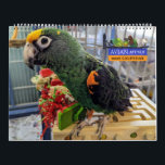 Avian Avenue 2026 Parrot Calendar<br><div class="desc">Avian Avenue 2026 Parrot Calendar</div>