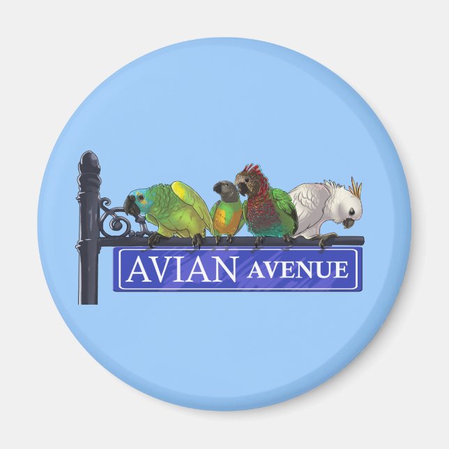 Avian Avenue Magnets (Front)
