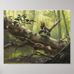 Avian Balaur bondoc Poster