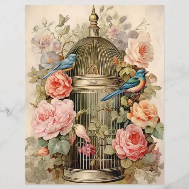 Avian Beauty  Scrapbook Paper (Front)