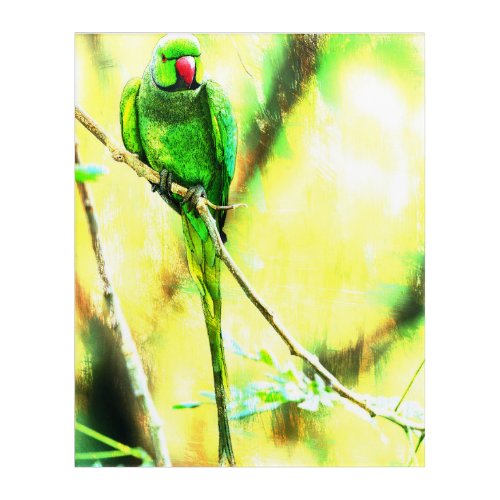 Avian Charm IV Acrylic Print