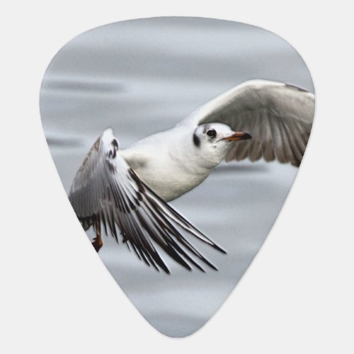 Avian Flight of the Seagull Guitar Pick