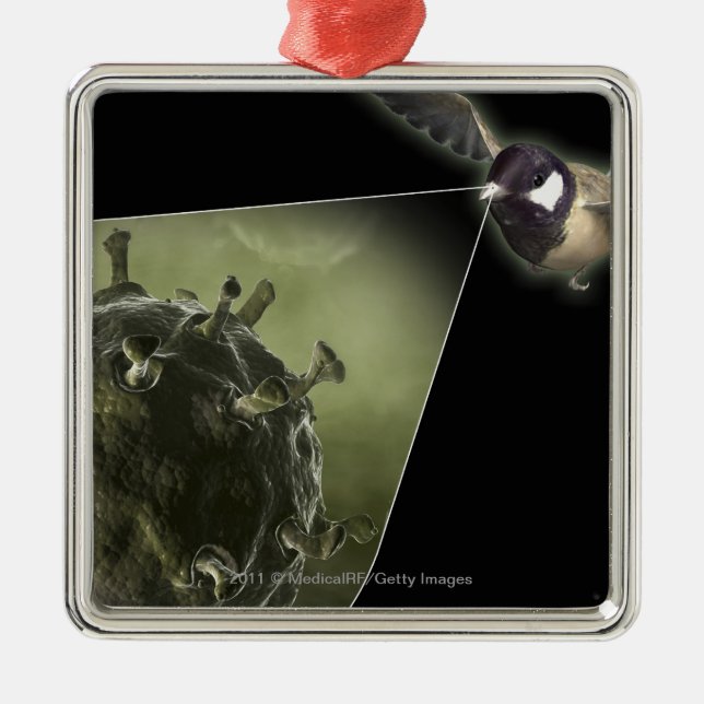 Avian flu coming out of bird metal ornament (Front)
