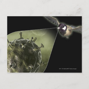 Avian flu coming out of bird postcard
