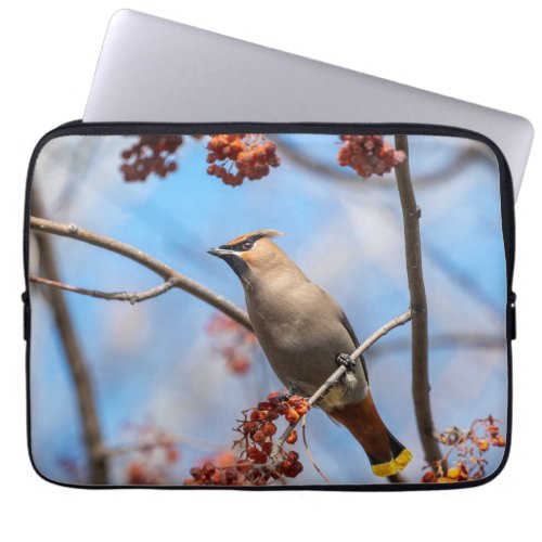 Avian Photography Bohemian Waxwing Laptop Sleeve