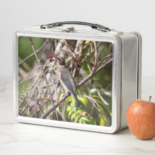 Avian Photography, Canadian Bohemian Waxwing Metal Lunch Box